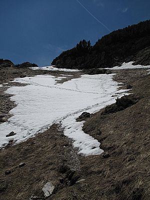 Ein paar Restschneefelder...