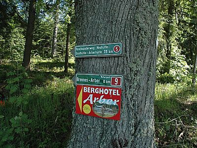 Hier Weg Nummer 9 zum Arber.