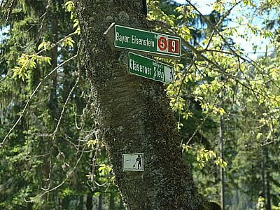 den Gläsernen Steig entlang.