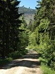 Durch den Wald...