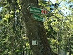 den Gläsernen Steig entlang.