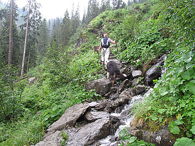 Bei Nässe ist der felsige Steig sehr rutschig