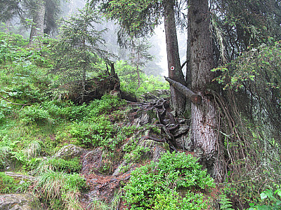 Immer weiter bergauf über den Kastensteig