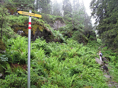 Wieder zurück am Steig