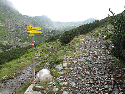 Wegweiser bei der Alm