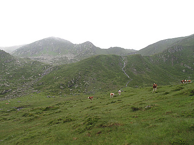 Über schöne Almwiesen...