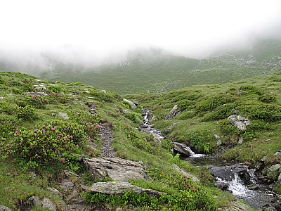 Eine wasserreiche Tour