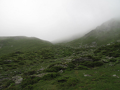 Leider wird der Nebel immer dichter