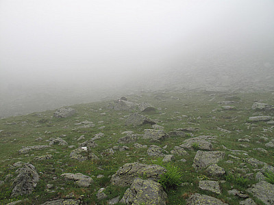 Mit Felsblöcken übersäte Wiesen