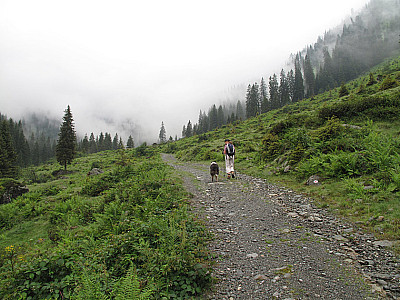...und einem weiteren Stück Forstweg