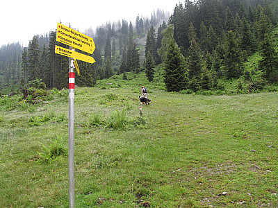 Kurze Zeit später geht es rechts...