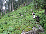 ...zum Kastensteig