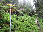 Wieder zurück am Steig