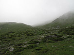 Leider wird der Nebel immer dichter