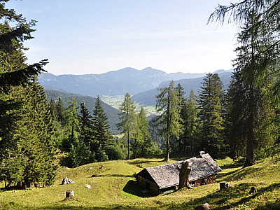Vorbei an der Krautgartenalm