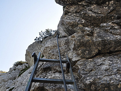 Nach einer Leiter wird ...