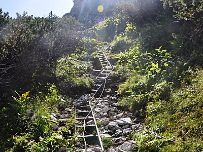 Über zahllose liegende Leitern 