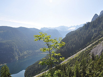 Der Hohe Dachstein hinter dem Gosausee