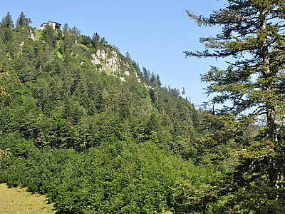 Die Gipfelstation der Seilbahn rückt näher