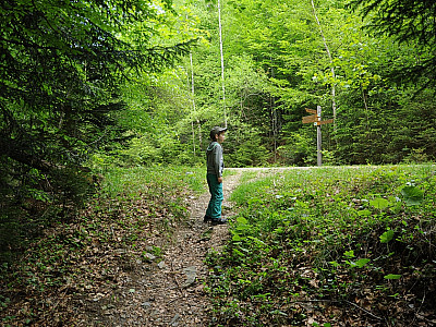 Wir treffen wieder auf einen Fahrweg und ...
