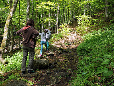 Der Weg ist steinig und ....