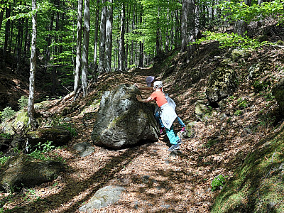 Manch ein Hindernis lässt sich schwer aus dem Weg räumen