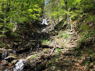 ... zu den Höllbachfällen.