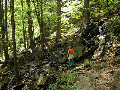 Der Weg durch das Höllbachgspreng ...
