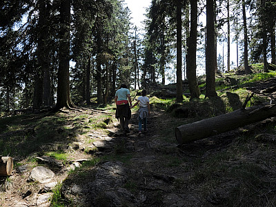Anschließend wird der Weg wieder flacher