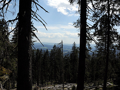 Die Aussicht in den Süden wird frei