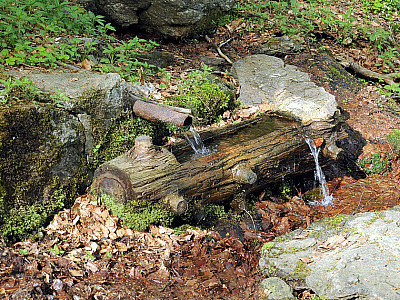 Eine kleine Quelle am Wegesrand