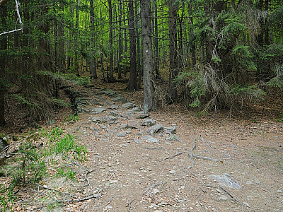 Der Weg wurde mit riesigen Steinen gepflastert