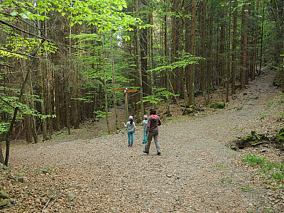 Die meisten Abzweigungen sind ... 