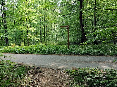 An der Teerstraße geht es links... 