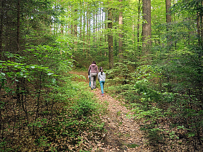 ...recht unscheinbaren Weg... 