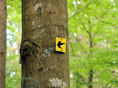 ... gekennzeichnet mit einem Falken.