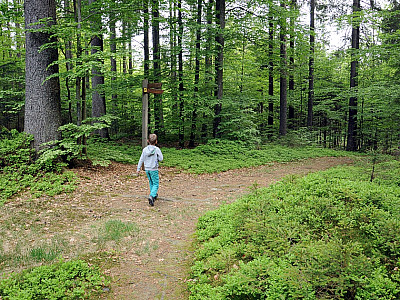 Hier geht es rechts weiter... 