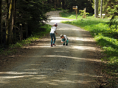 Trotz intensiver Suche finden wir nichts.