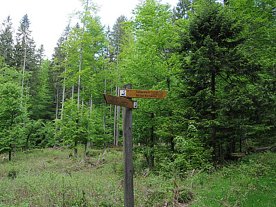 An einem Wegweiser biegen wir ....