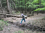 Manche Hindernisse werden mit Anlauf genommen