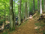Am Höllbach entlang steigen wir auf.