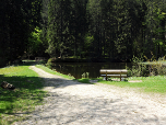 Der Höllbach wurde hier zur Holztrift aufgestaut.
