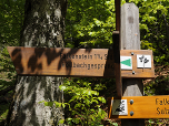 Am Wegweiser links....