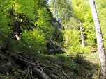 ... steil den Berg hinauf.