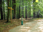 ... und wenig später wieder links in den Wald.
