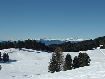 Sarntaler Alpen