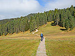 Über einen Bohlenweg passieren wir sumpfiges Terrain