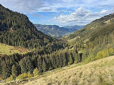 Blick über den Wildalmgraben