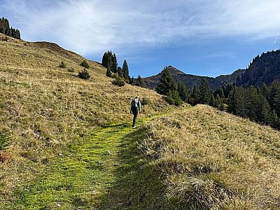 Weiter geht's auf einem Wiesenweg