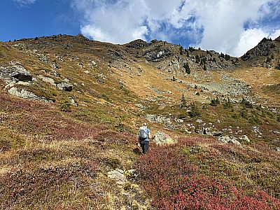 Der Pfad führt uns durch die ausgedehnte Moosbeerheide